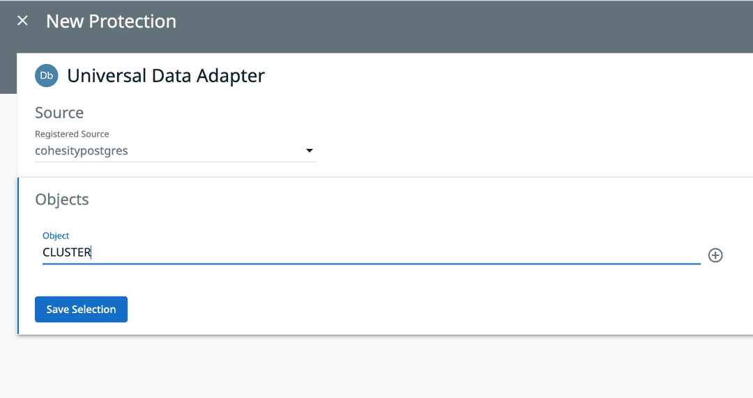 Cohesity Object Name